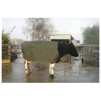 COW COVER THERMAL EMERGENCY, LARGE FRIESIAN
