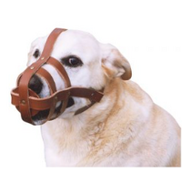Dog Muzzle Leather Small                