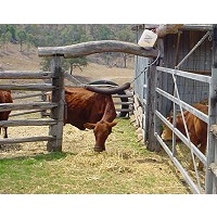 AC Backrubber Self Feeding 3m