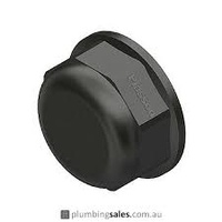 BSP Poly Cap - 1 1/2 Inch