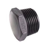 BSP Poly Plug - 1 1/2 Inch