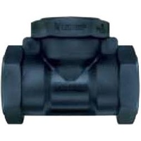 BSP Poly Tee FI - 1 1/2 Inch