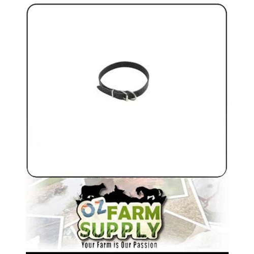 Collar Calf Webbing 70cm                