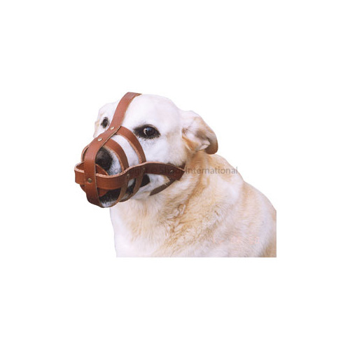 Dog Muzzle Leather Medium               