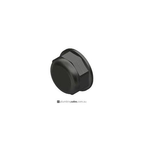 BSP Poly Caps