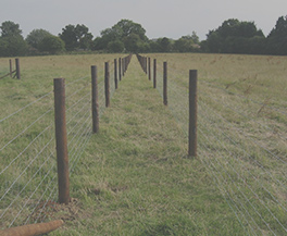 Fencing